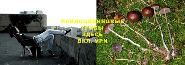 прущая мука Алзамай