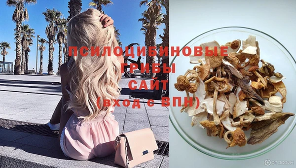 гидропоника Алексин