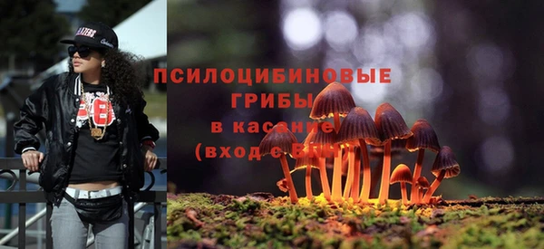 гидропоника Алексин
