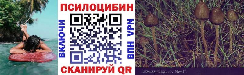 даркнет сайт  Ардатов  Псилоцибиновые грибы GOLDEN TEACHER 